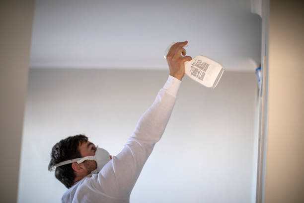 Reliable Uhland, TX Mold Remediation Solutions