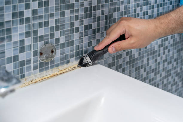 Best Health and Safety Mold Remediation in Uhland, TX