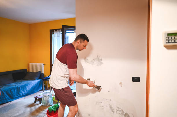 Best Mold Remediation for Schools in Uhland, TX